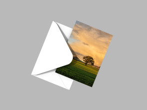 To buy a print or any of the below please click on the images